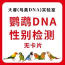 鹦鹉观赏鸟DNA鸽子性别鉴定验卡雏鸟幼鸟公母检测鸟禽公母鉴定