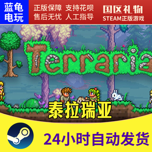 PC中文游戏 steam正版 国区礼物 Terraria 在线入库 泰拉瑞亚