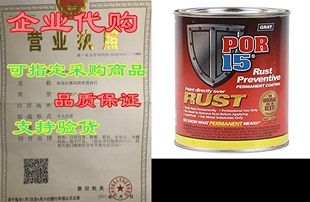 Rust POR 45208 Gray Preventive pint Coating