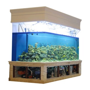 定制专业海洋生态海水缸圆柱水族箱定做亚克力鱼缸大型圆柱弧形缸