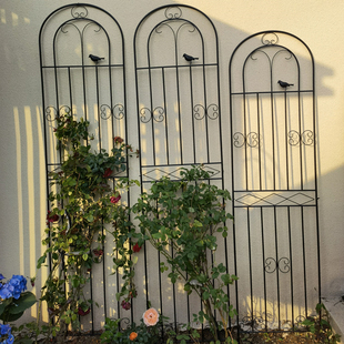 蔷薇月季 爬藤架子户外庭院花园铁艺栅栏支架铁线莲植物攀爬网花架
