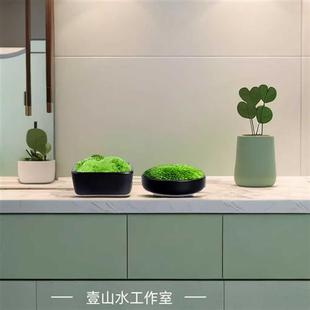 日式 苔藓微景观小型桌面茶艺景观摆件鲜活苔藓创意迷你盆景新中式