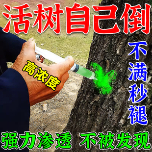大树一针死树倒烂根专用药除大树强力除树灭树粉除草烂根剂一扫光