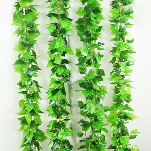 假绿植仿真绿萝塑料藤蔓树叶子空调管道房子吊顶绿叶装 饰藤条花藤