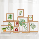 植物标本相框摆台diy剪纸展示框亚克力双面透明画框压花树叶实木