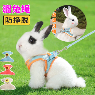 兔子牵引绳衣服防挣脱溜小兔子专用侏儒兔可调节伸缩外出绳 链子
