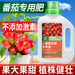 小番茄肥料营养液西红柿专用果蔬瓜果盆栽阳台蔬菜有机肥家用通用