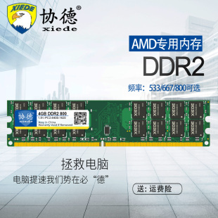 全新AMD专用条DDR2 667 协德正品 800 4G台式 533 机内存条兼容2G