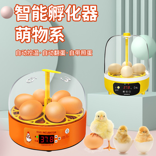 孵化器小型家用全自动智能儿童芦丁鸡孵蛋器恒温孵小鸡鹦鹉孵化箱