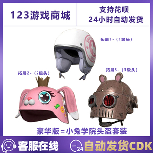 PUBG绝地求生皮肤小兔学院头盔套装 二三级1级2级3级吃鸡CDK兑换码