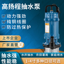 潜水泵220v高扬程水泵家用抽水机清水泵抽水泵T铸铁家用小型