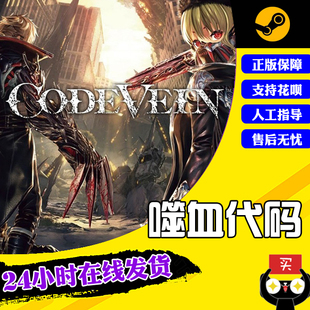 CODE 动作 PC中文正版 steam游戏 VEIN 噬血代码 类魂系列 嗜血代码