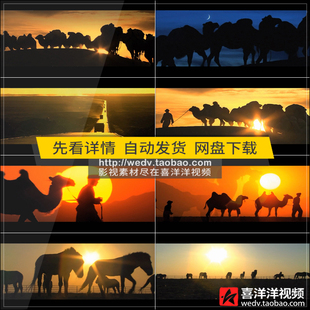Q504古代丝绸之路大漠撒哈拉沙漠骆驼商贸驼队经济贸易视频素材