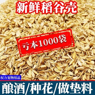 稻谷壳100斤清仓稻壳特价 酿酒发酵做枕芯动物垫料东北优质谷壳5斤
