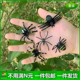 仿真小蜘蛛迷你硬质儿童玩具昆虫公园花草树木造景装 饰小动物模型