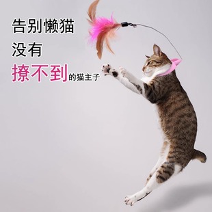头戴式 逗猫棒玩具猫咪自嗨解闷消耗体力神器自动羽毛项圈逗猫用品