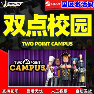双点大学 PC中文正版 Point 双点学校 Two 双点校园 Steam 国区cdkey Campus 激活码