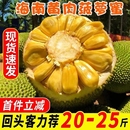 海南菠萝蜜一整个新鲜水果当季 黄肉波罗蜜整箱特产 40斤红果肉 包邮