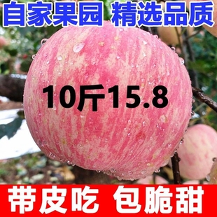 正宗陕西洛川苹果水果新鲜当季 红富士冰糖心丑苹果整箱10斤 包邮