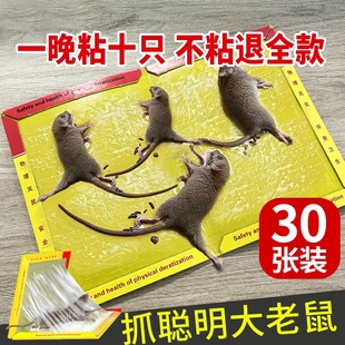 粘鼠板强力粘鼠标超强老鼠贴新款 家用强力胶抓杀大老鼠老鼠板灭鼠