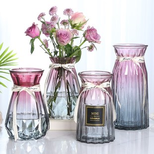 北欧创意透明玻璃花瓶水培绿萝植物干花鲜花插花瓶客厅装 饰摆件