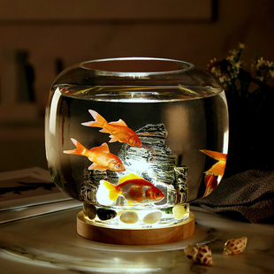 创意圆形玻璃小号热带小鱼缸生态观赏鱼缸桌面灯光底座假山缸摆件