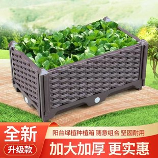 阳台种植箱家用蔬菜种菜箱室内长方形种植盆宽30户外种菜专用盆