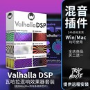 Valhalla DSP瓦哈拉全套混响延迟后期混音效果器Win Mac远程安装