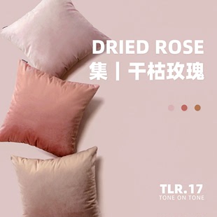 天鹅绒脏粉色抱枕不含芯房间纯色靠垫套客厅沙发靠背简约靠垫绒布