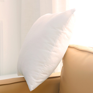 白色靠垫芯靠枕芯正方形 抱枕芯 腰枕芯长方形 PP棉填充