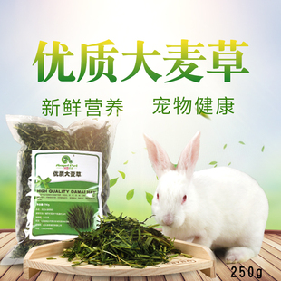 兔粮干草新鲜大麦草段兔子粮食荷兰猪龙猫草粮兔草宠物零食250g