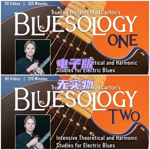 布鲁斯吉他教程 TrueFire Bluesology 2套 Brad 音视谱 Carlton
