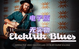 Elektrik 布鲁斯吉他教程 TrueFire Blues David 音谱 Henriksson