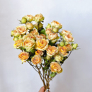 多头玫瑰干花花束蔷薇泡泡天然真花客厅家居插花装 饰摆件送人礼物