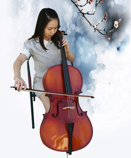 索雅特DV168龙为机械调音 演奏大提琴练习大提琴 实木手工大提琴