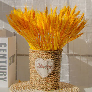 天然黄金麦穗干花花束客厅摆设开业大麦花篮花瓶装 饰摆件轻奢真花