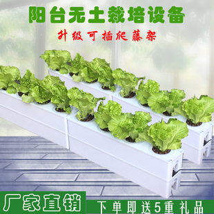 无土栽培蔬菜设备阳台种菜神器室内种植箱水培智能种菜机组合花盆