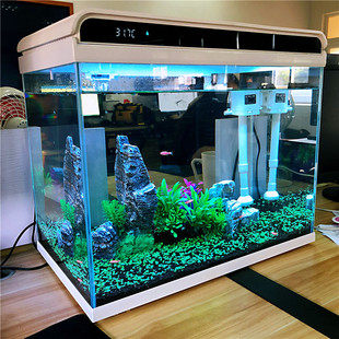 森森超白玻璃鱼缸客厅小型家用水族箱生态免换水过滤制氧金鱼缸