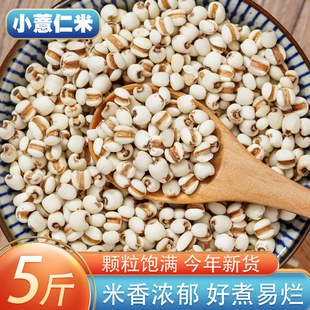 小薏米5斤 新货农家贵州薏仁米苡米仁配红豆五谷杂粮粗粮粮油米面