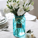 时尚 饰水培客厅摆件办公桌绿植ins标签花瓶 简约浅色玻璃插花瓶装