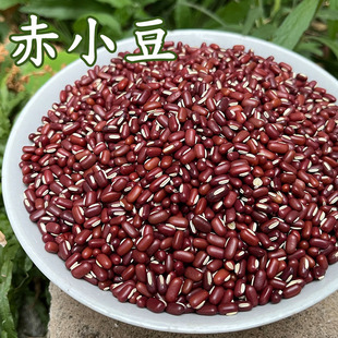 赤小豆500g 精选23年新赤小豆 农家自产五谷杂粮粗粮