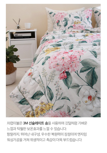 韩国高端床品ELLE莫代尔棉3M一体被 可机洗绗缝床盖四件套C11르제