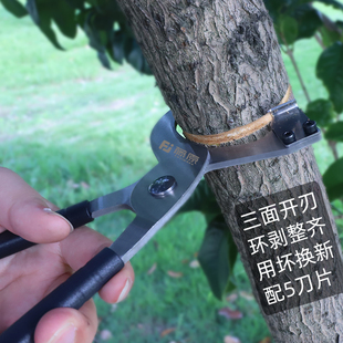 藤原环割刀环剥剪器钳骟苹果枣树果树剥皮刀园林工具割树皮开甲刀