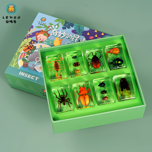 幼儿园小动物科普真实昆虫树脂标本真虫琥珀金龟蜘蛛蝎子摆件礼盒