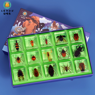 幼儿园琥珀昆虫标本树脂真虫植物蜘蛛蝎子金龟子天牛动物摆件礼盒