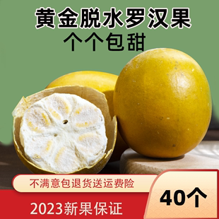 黄金罗汉果干果泡茶正品 广西桂永福林特产 低温脱水冻干独立小包装