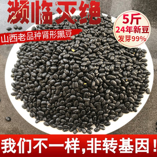 非转基因黑豆5斤 农家新黑豆老品种打豆浆肾形黄芯黑豆发豆芽黑豆