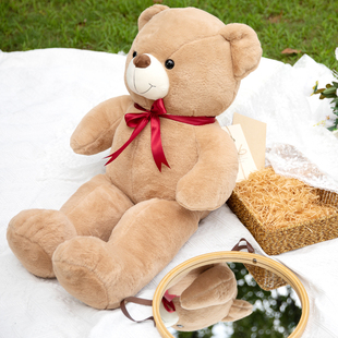 泰迪熊猫布娃娃熊玩偶睡觉抱可爱抱抱熊公仔女孩生日礼物毛绒玩具