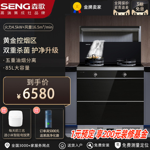 SENG M3集成灶家用一体灶气电两用消毒柜小户型厨房油烟机 森歌