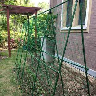 阳台菜园种菜蔬菜爬藤架子豆角架杆黄瓜支架支撑杆攀爬架园艺花架